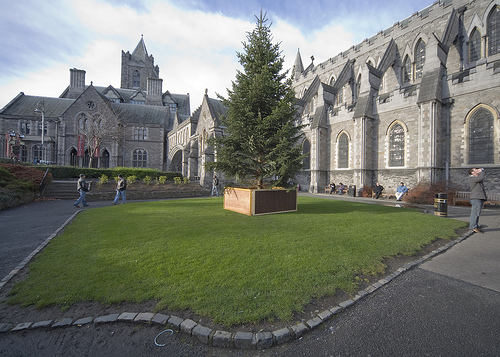 都柏林学校 dublin school